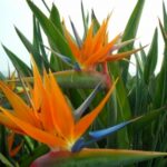 358954 web R K by Monika Lechler pixelio.de