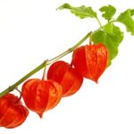 532666 original R K B by Grace Winter pixelio.de400x300