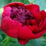 584032 original R K B by Erika Hartmann pixelio.de400x300