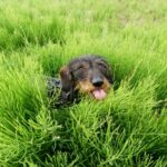 590593 original R K B by M. Gromann pixelio.de400x300