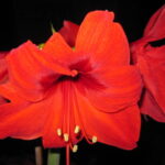 639104 web R by Sylvia Riedl pixelio.de