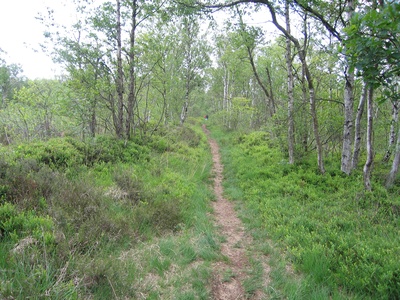 Ehre den Göttern und Göttinnen!