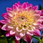 681459 original R by Mandy Graupner pixelio.de400x300