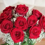 682026 original R K B by Astrid Gtze Happe pixelio.de400x300