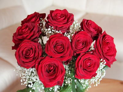 Blumen der 12 Sternzeichen  – Krebs 22.06. – 22.07.