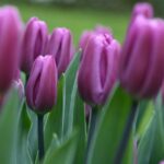 683410 original R K B by Albedo pixelio.de400x300