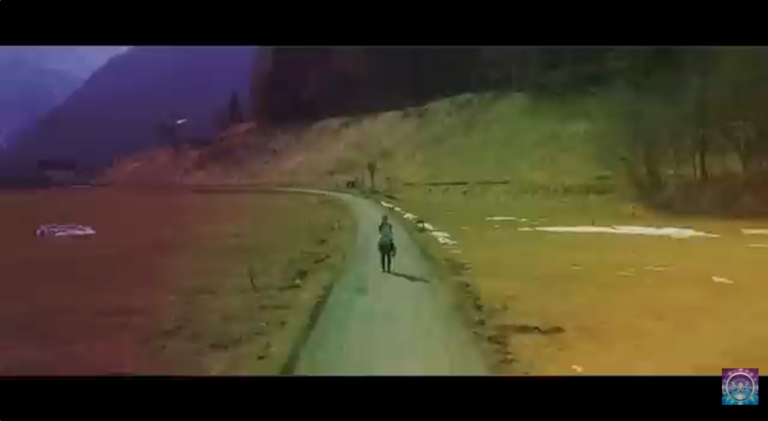 Manifesting Paradise - Volition