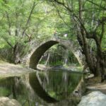 270083 web R K by SueSchi pixelio.de