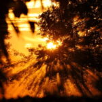 Goldener November by Dr.Klaus-Uwe Gerhardt / by pixelio.de