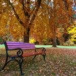 749198 web R K B by Rainer Sturm pixelio.de