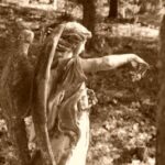 197872 web r k by paul georg meister pixelio de