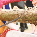 752569 web r b by hochzeitsfotograf pixelio de